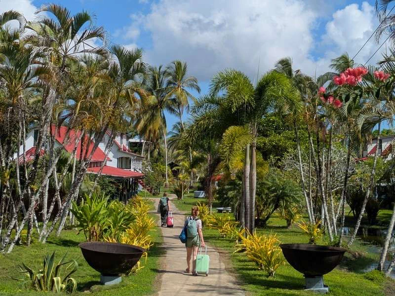 Oude plantagehuizen die zijn omgebouwd tot accommodaties midden in de natuur.