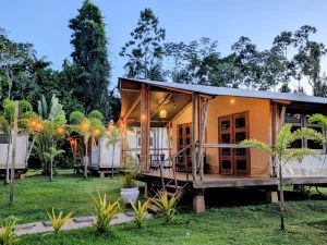 Het verblijf in Domburg