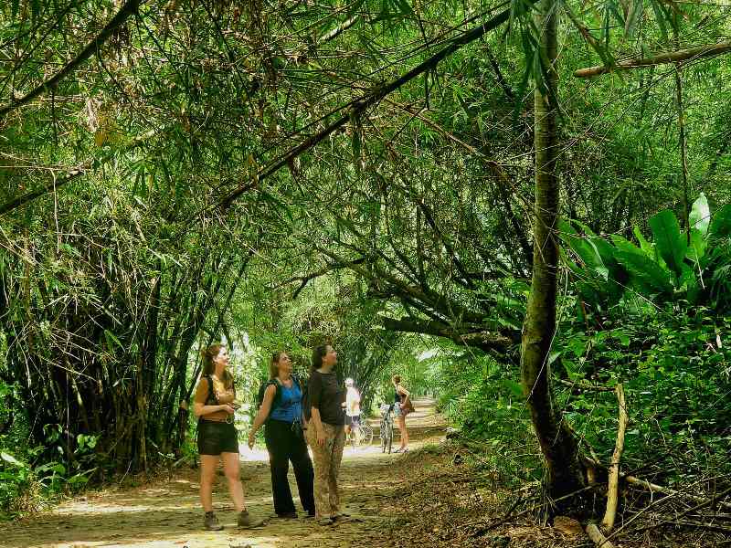 Wandelen door de oude plantages in Peperpot natuurpark