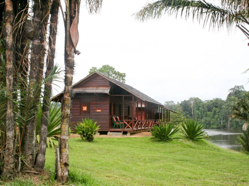 Accommodatie bij Palumeu