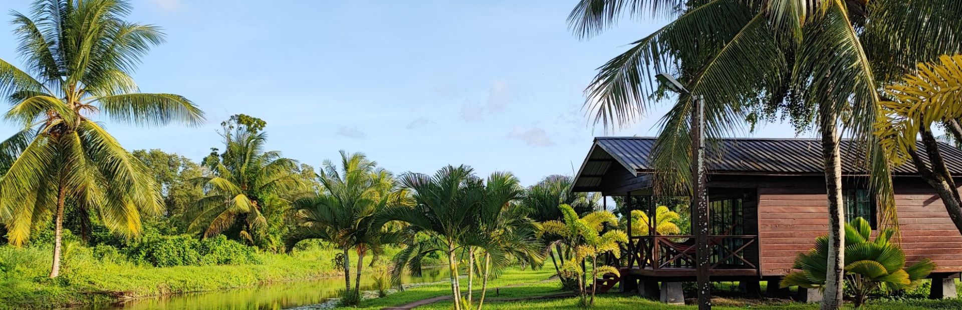 Houten huisje in de omgeving van Frederiksdorp met dde jungle en palmbomen op de achtergrond