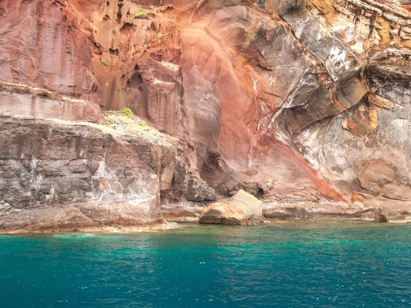 ilhas desertas madeira