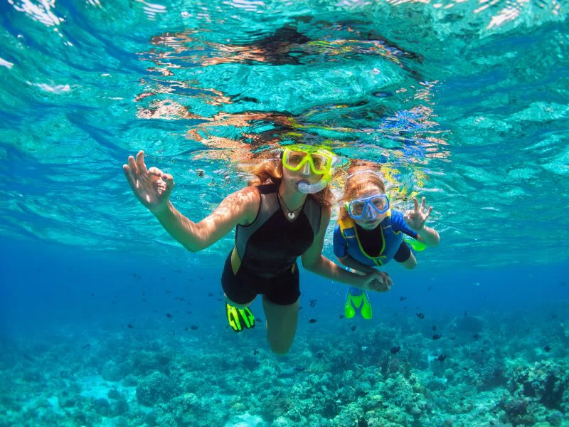 snorkelen madeira