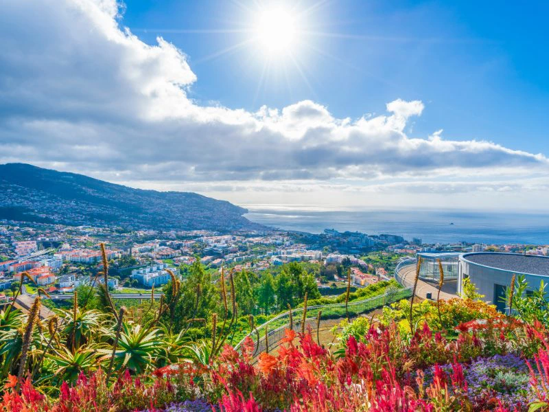 Madeira- Funchal view