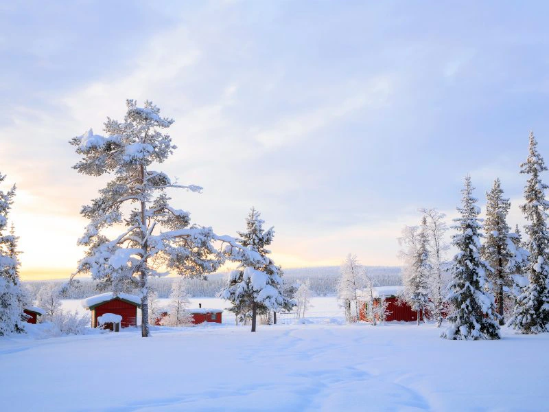 Zweeds Lapland