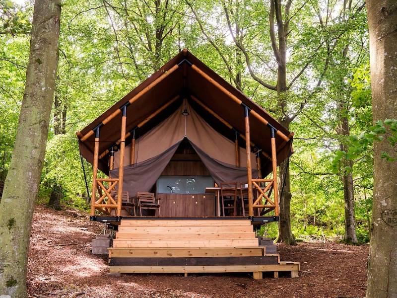 Seven Seas Palmeras Bay