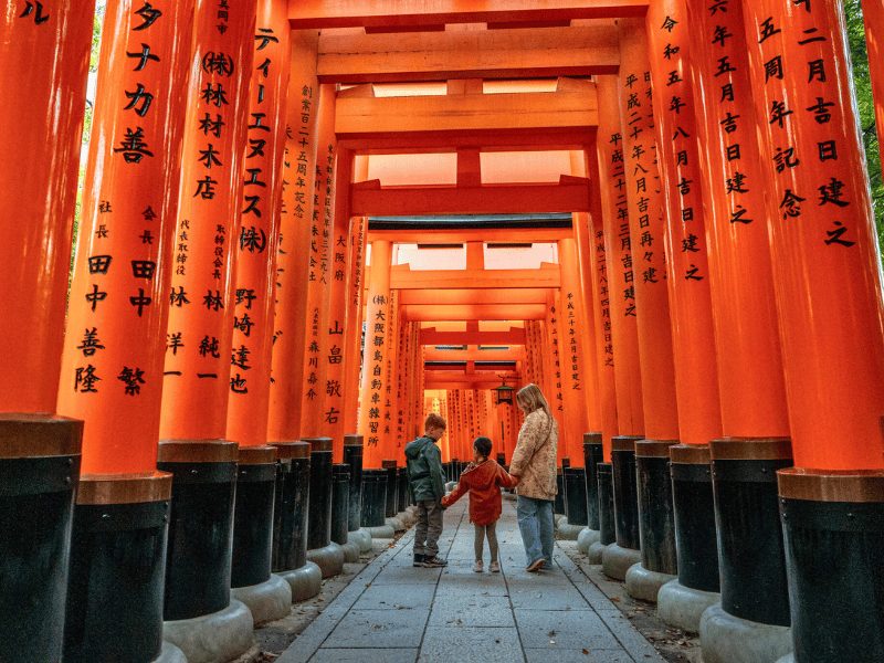 Van Osaka naar Kamakura: Wolkenkrabbers, Japanse Alpen en strand