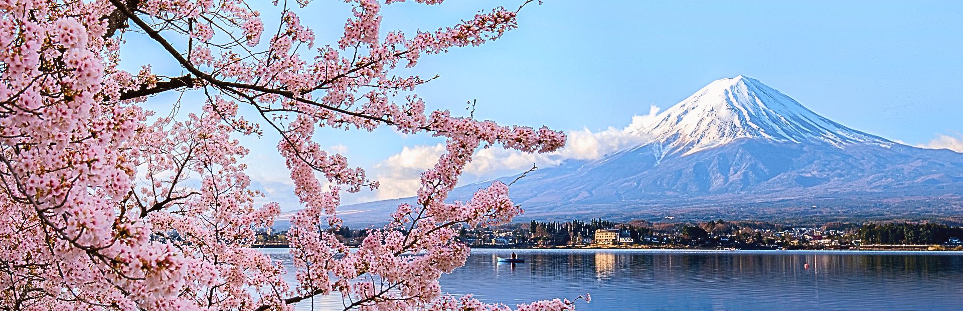 fuji-view