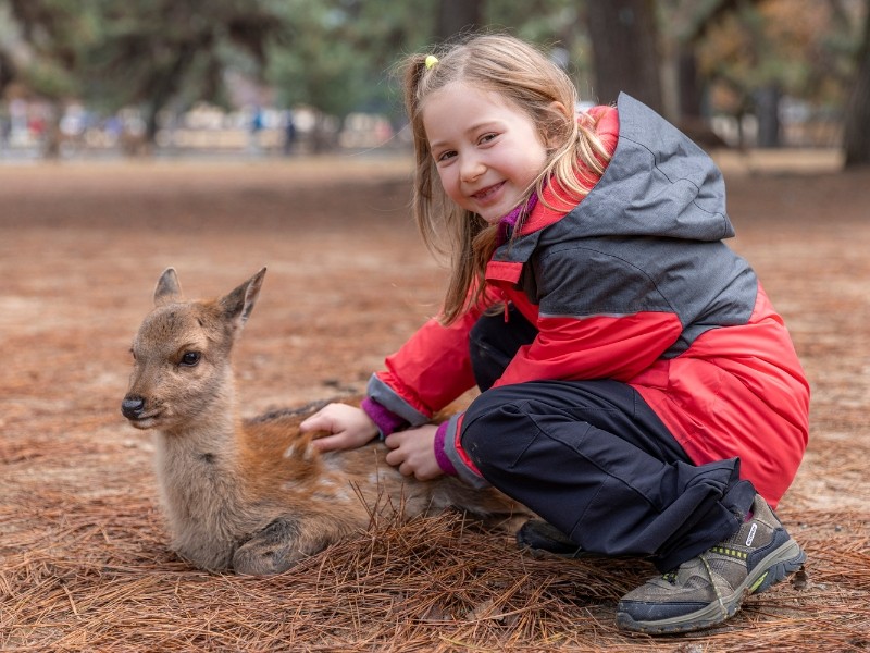 Japan - nara hertje