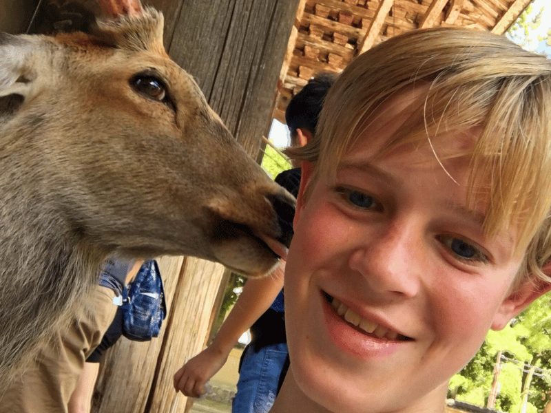 Jongen met een hert in Nara, Japan