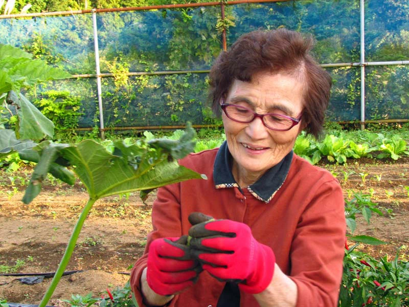 Japan Lokale vrouw