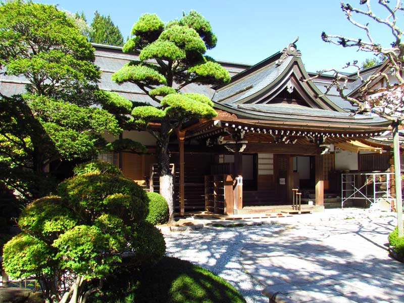 Tempelovernachting in Koyasan. Je ziet een traditionele Japanse tempel met typische groene Bonsai-achtige bomen.