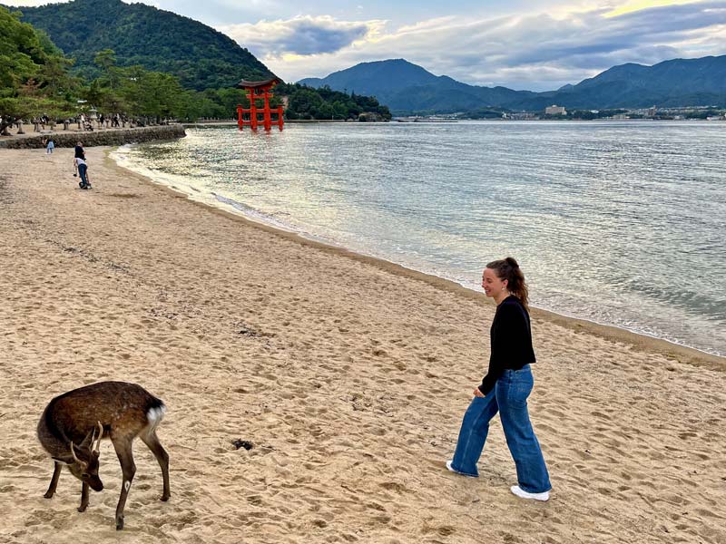 Rondreis met kinderen mount fuji