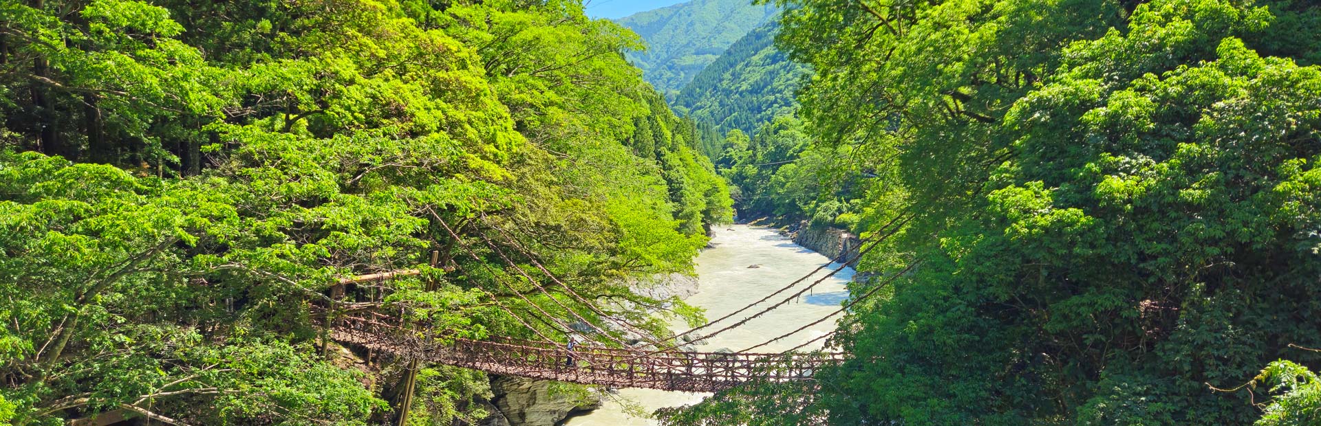 Brug in de Iya-vallei, Shikoku