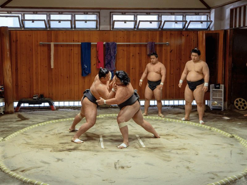Sumo training Tokyo