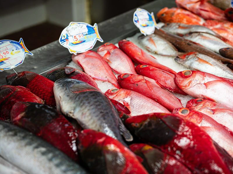 rondreis met kinderen azoren