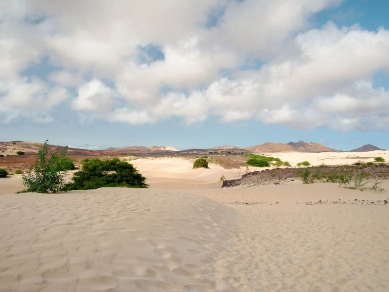 Woestijn van Boa Vista