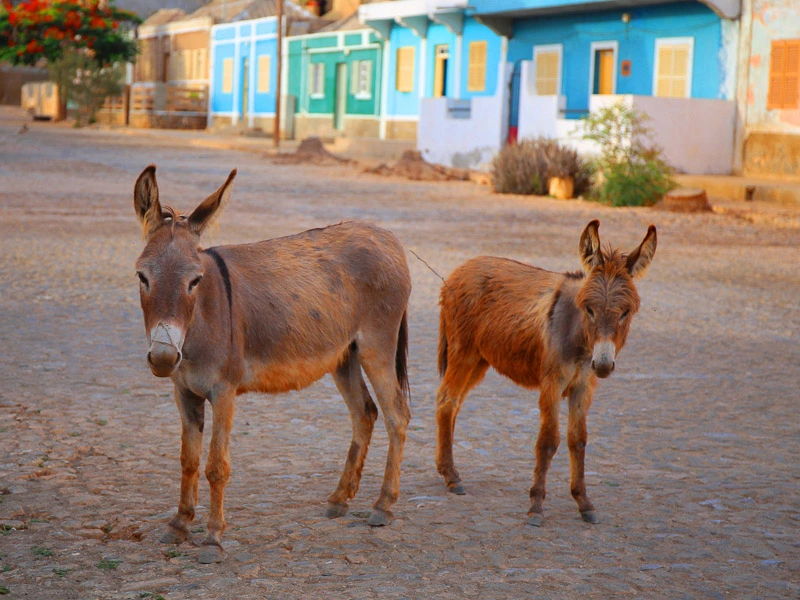 maio cabo verde hotel