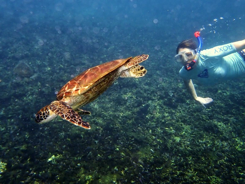 Reiziger snorkelend bij Daymaniyat eilanden