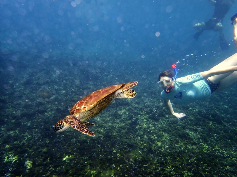 Reiziger snorkelend bij Daymaniyat eilanden