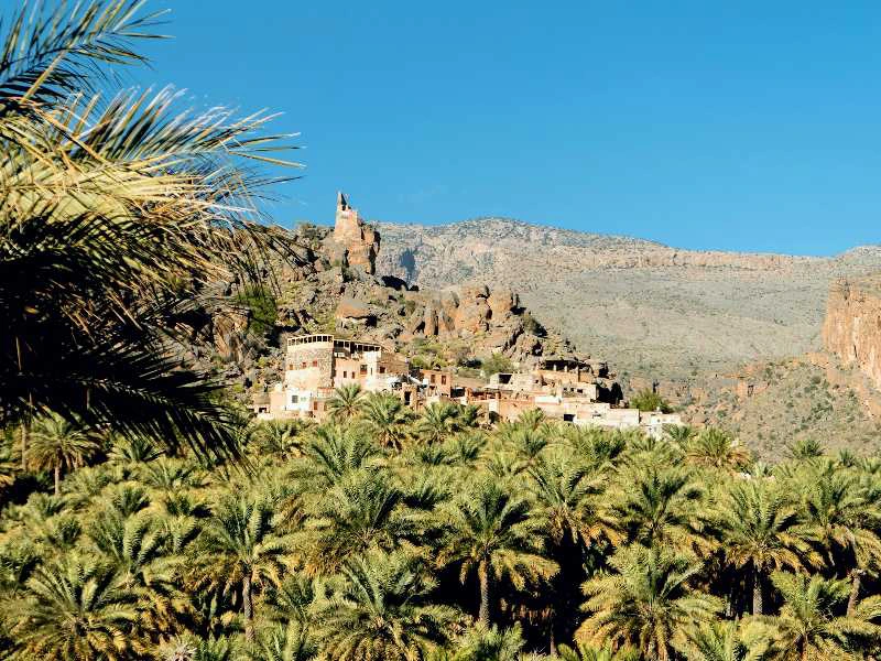 Oman rondreis oase Misfat Al Abriyeen