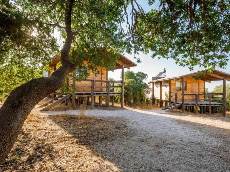 Jordanie-ajloun-cabin