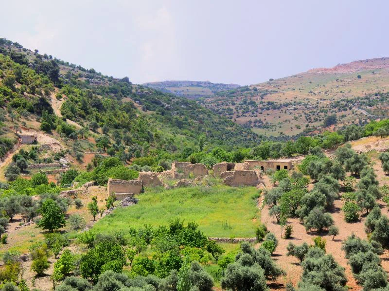 Ajloun omgeving in Jordanië