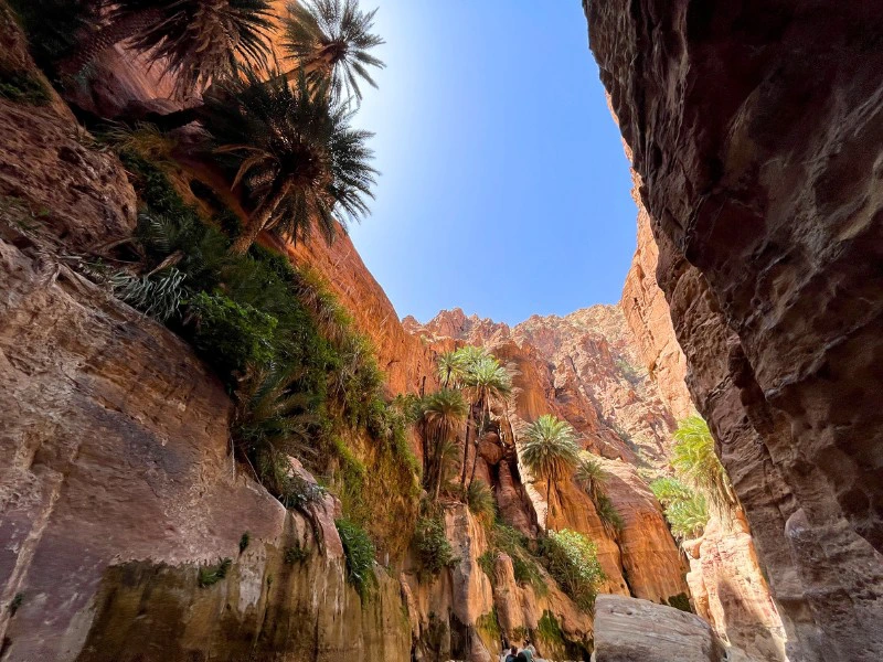 Jordanië - Ghuweir-Trail