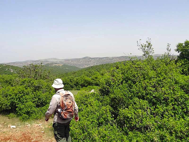 Jordanië - Orjan Hike