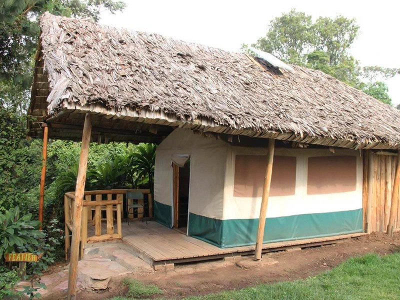 Uganda Bwindi Lodge