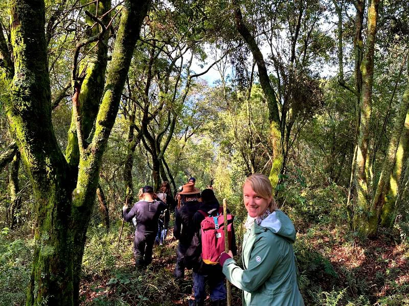 Gorilla trekking door Bwindi