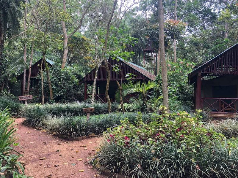 Oeganda Kibale accommodaties buiten