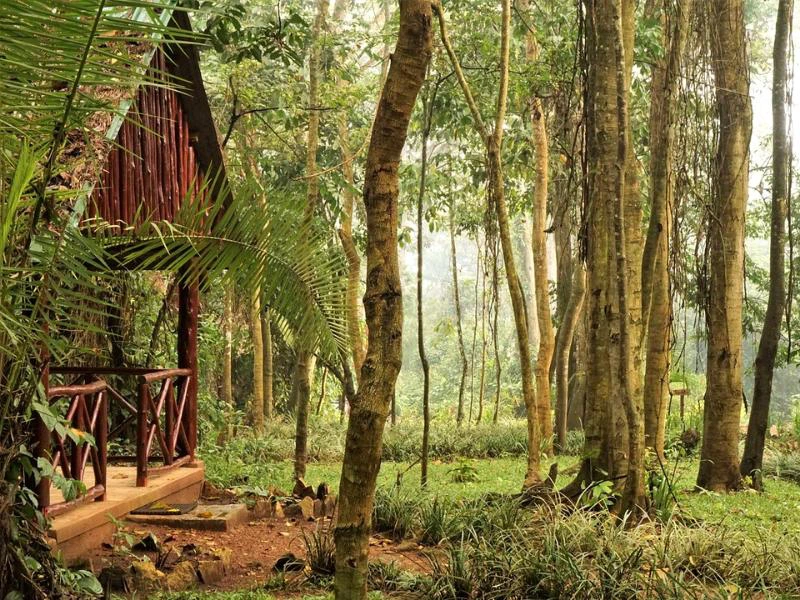 Oeganda Kibale uitzicht bos