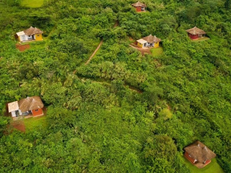 Oeganda Kibale accommodaties