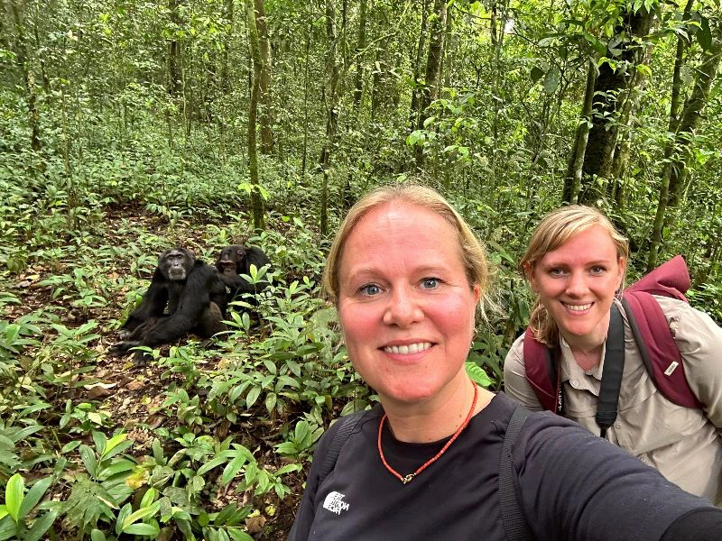 Kibale chimpansee trekking