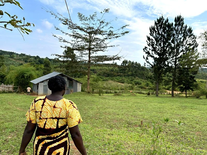 Jjaja Bbanga terrein