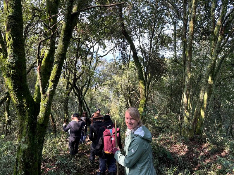 Vrouw aan het hiken in het bos