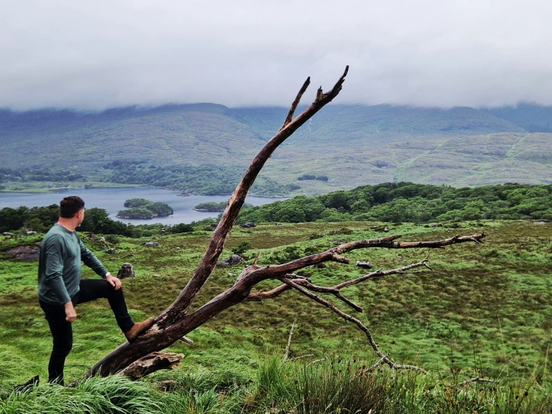 Man staat tegen een grote tak aan en kijkt uit over het groene landschap in Ierland