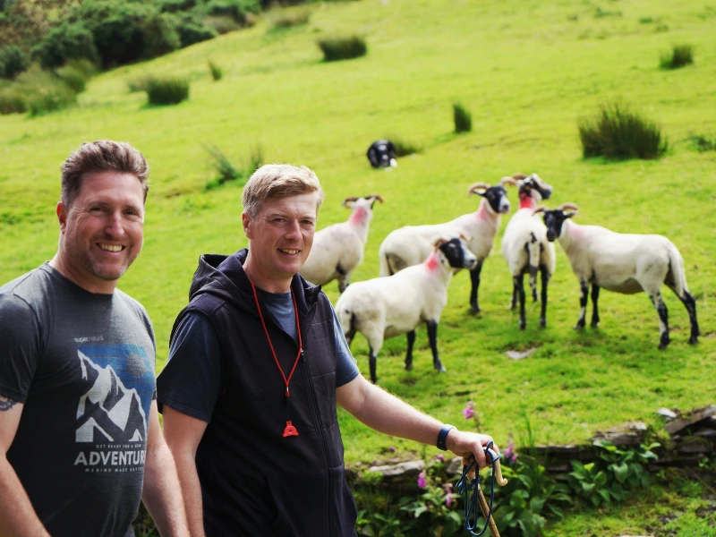 Twee mannen staan naast een groep schapen