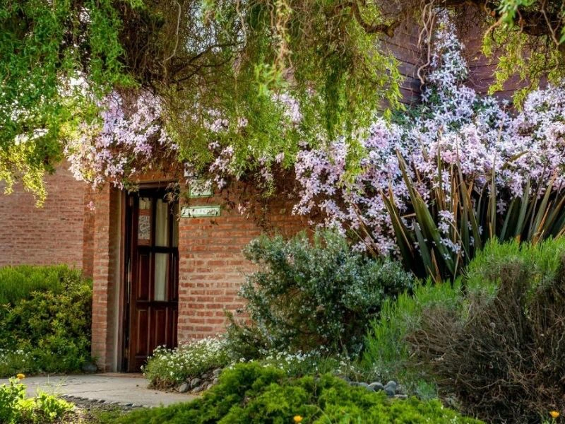 Argentina-el-calafate-hosteria-1