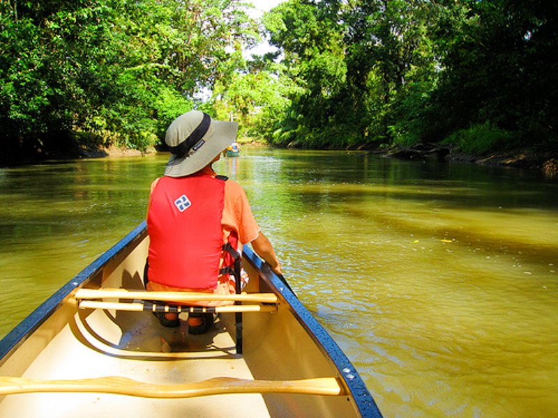 Varen door Cano Negro Costa Rica
