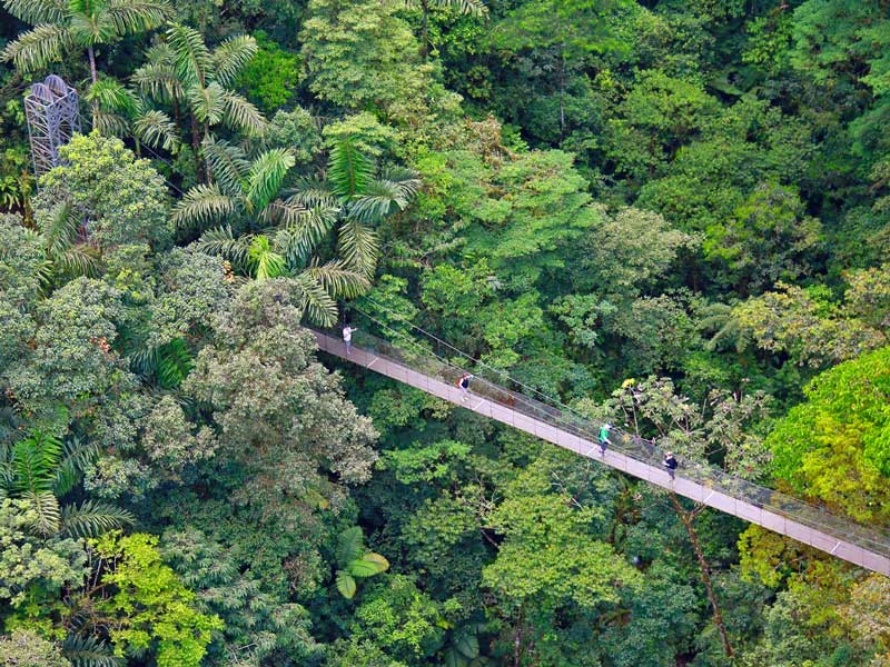 Hangbruggen in La Fortuna, Costa Rica