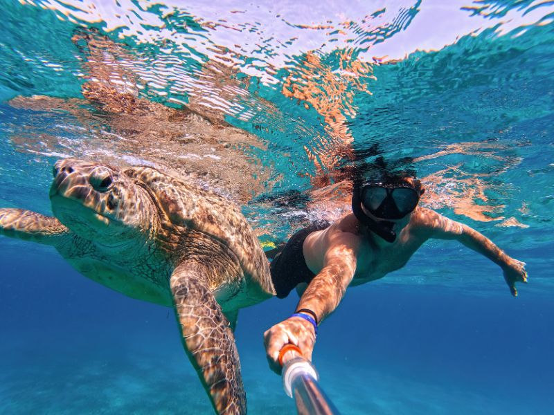 Snorkelen schildpad
